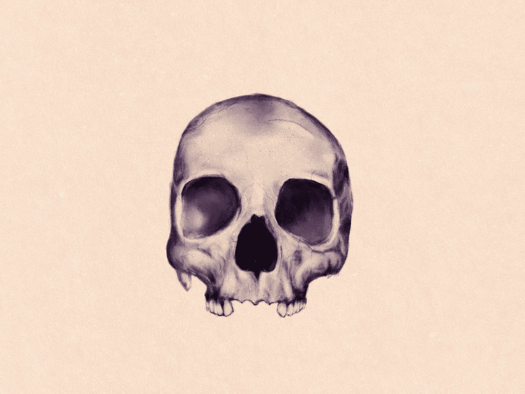 digital painting Anka Jot